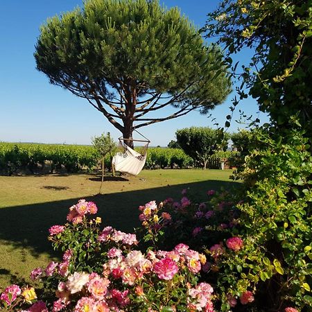 Entre Loire Et Vignobles Acomodação com café da manhã Liré Exterior foto