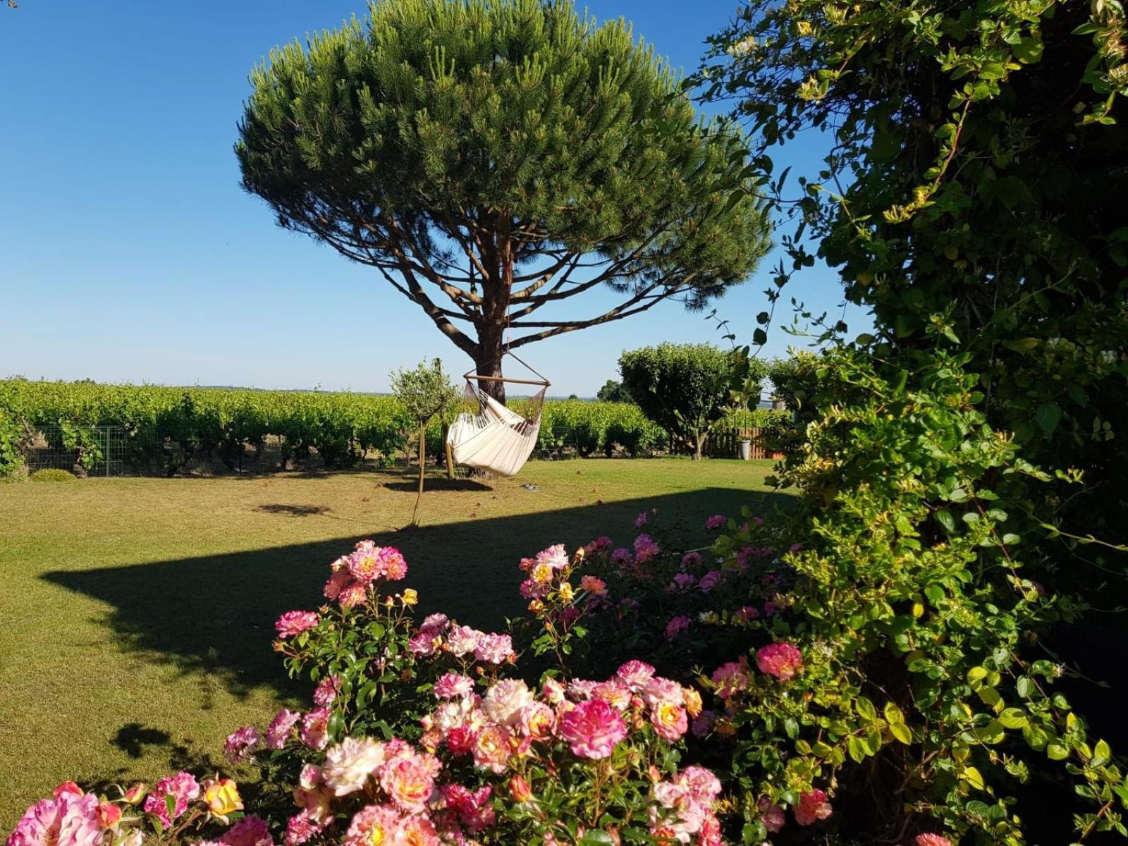Entre Loire Et Vignobles Acomodação com café da manhã Liré Exterior foto